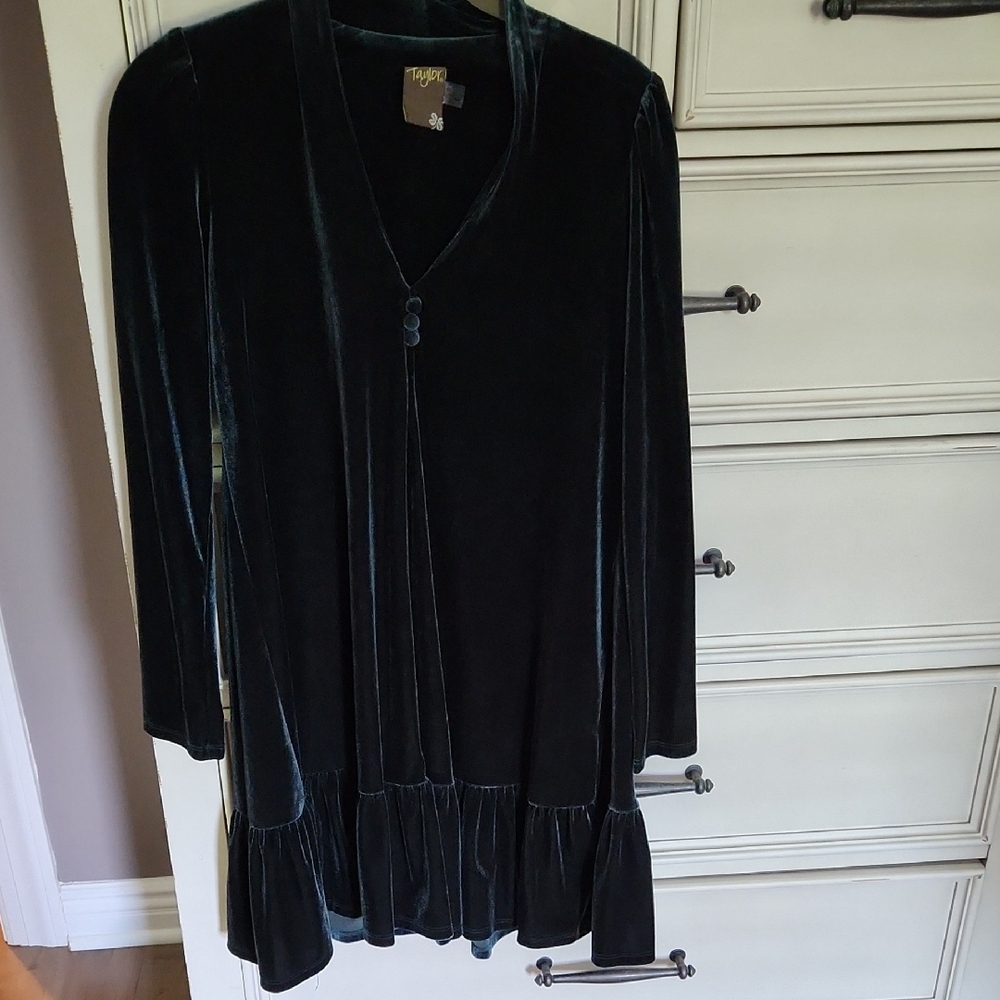 Taylor Midnight Velvet Dress